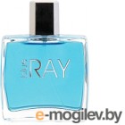   Dilis Parfum Blue Ray (100)