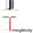  Dilis Parfum Cool&Grey Sport (100)