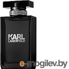  Karl Lagerfeld For Him (100)