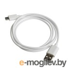   .  Micro USB, 1M, White CANYON <CNE-USBM1W>