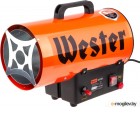   Wester TG-12000 (615345)