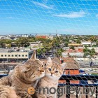 ,   .     Ferplast Cat Net XL / 85182700